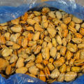 wholesale frozen cooked mussel meat at lower price